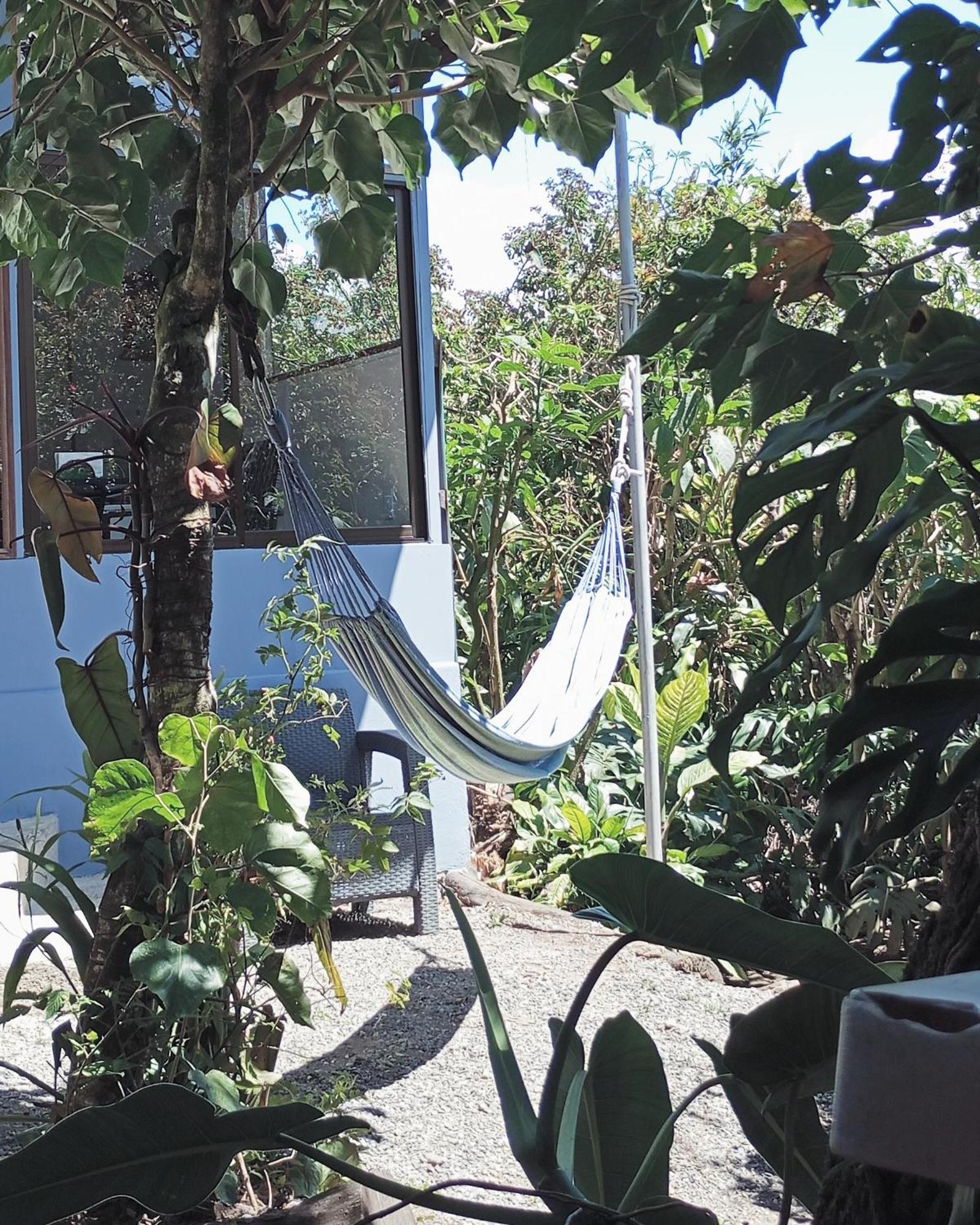 Monteverde Cecropia Paradise Habitación foto