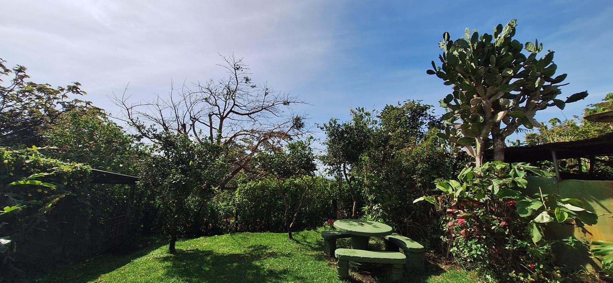 Monteverde Cecropia Paradise Habitación foto