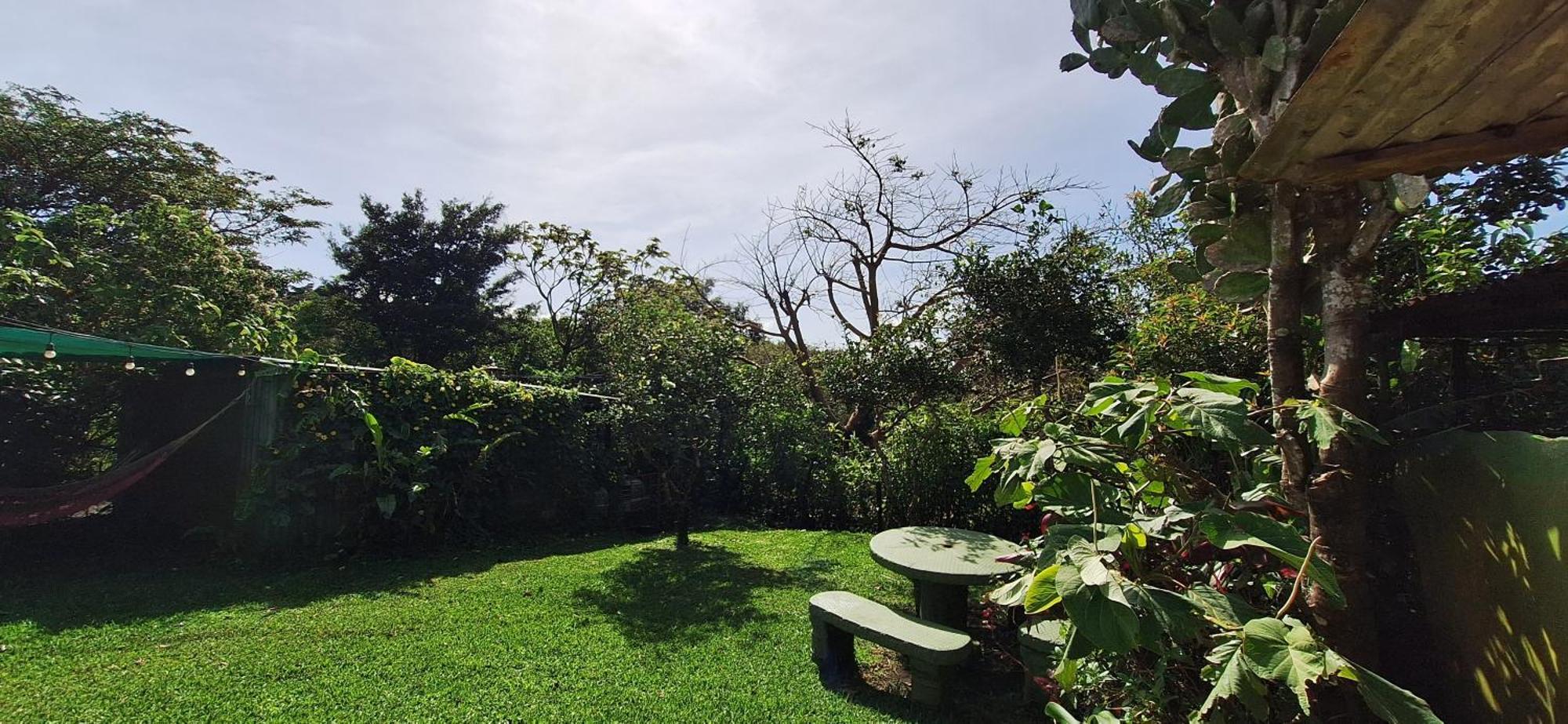 Monteverde Cecropia Paradise Habitación foto
